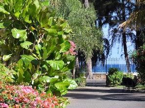 A paved pathway leading to a gated entrance with a view of the sea and palm trees in the background.