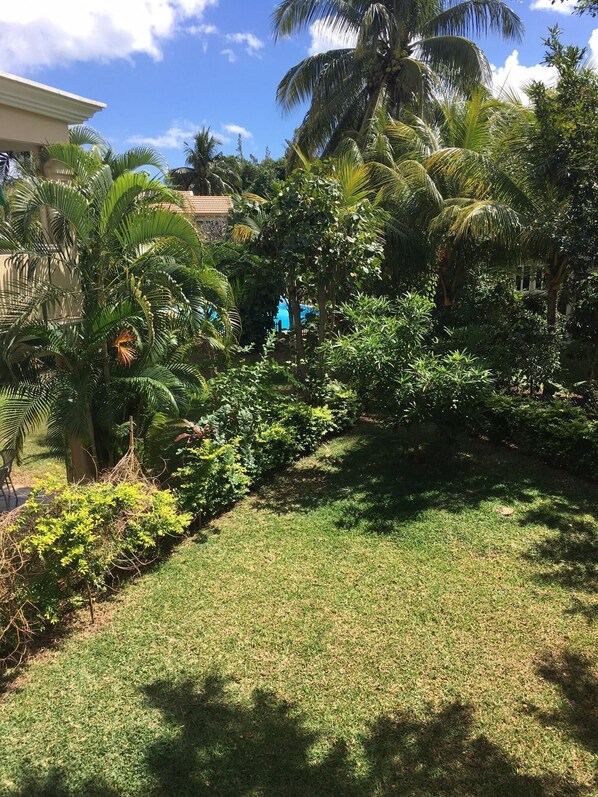 A well-maintained garden with various tropical plants and a lawn.