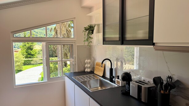 Una cocina moderna con un ventanal grande, un fregadero, un tostador y una planta.