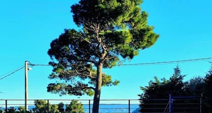 Villa Nike es una villa nueva en la montaña con vistas al mar cerca de Split y Omis