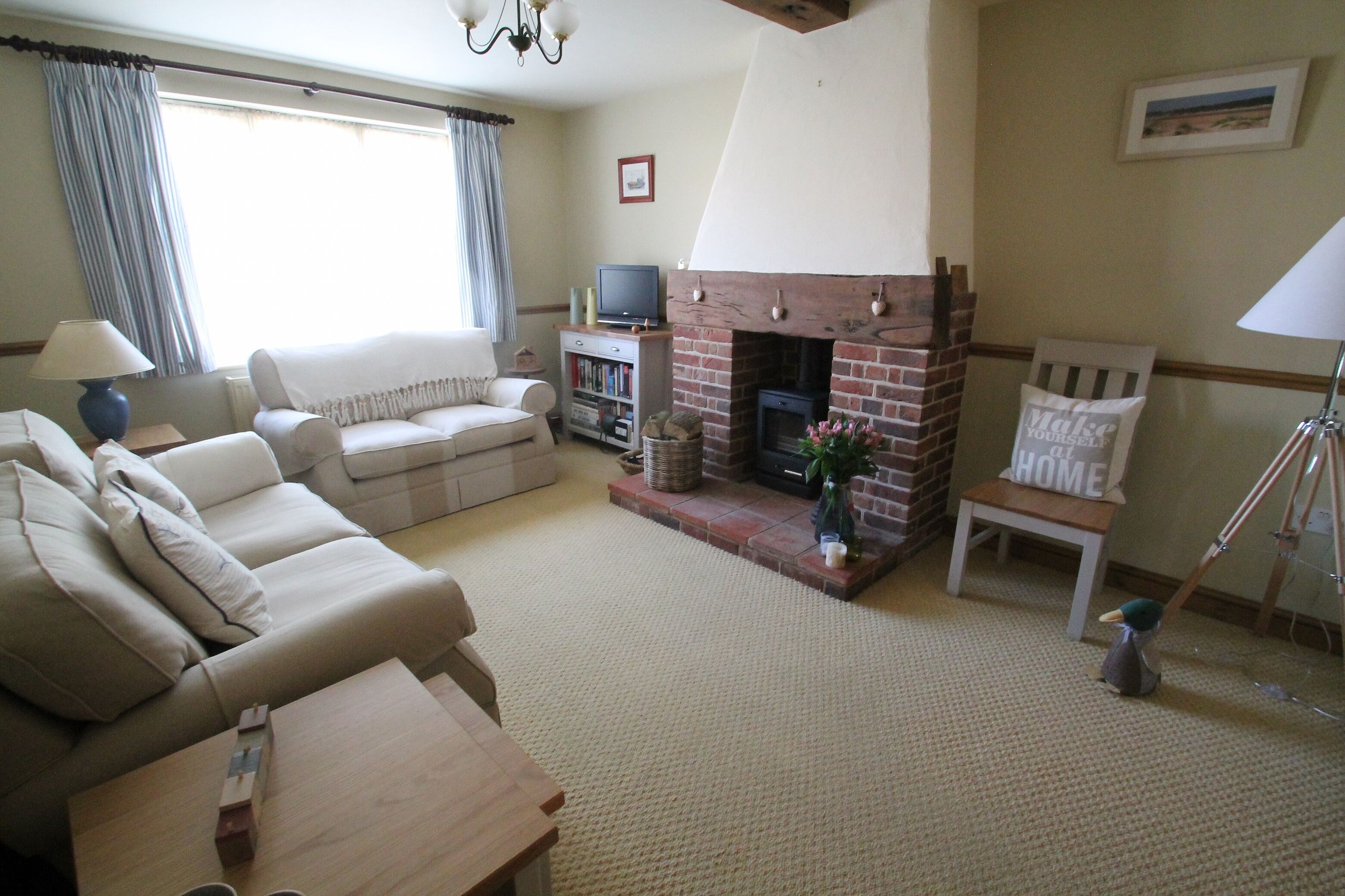 Smart TV, chimenea, reproductor de DVD y libros 