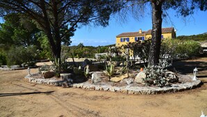 Un edificio amarillo con ventanas azules, rodeado por un jardín con cactus y árboles.