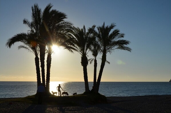 Enjoy a serene beach experience with calm waters and a pebbly shoreline.
