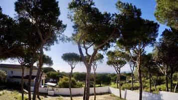 Área da propriedade