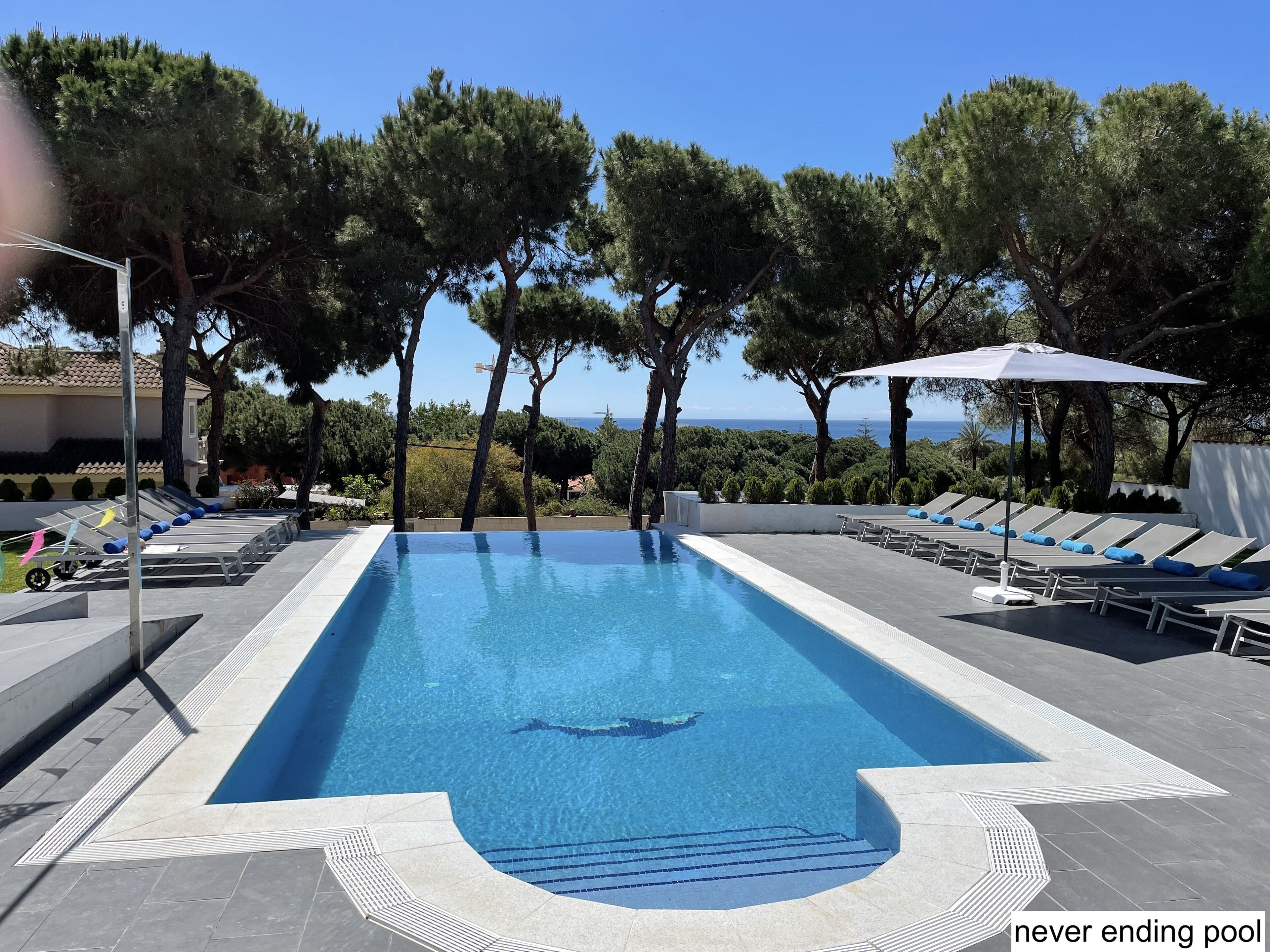 Outdoor pool, pool loungers