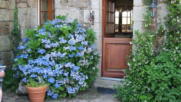 Un edificio de piedra con puerta y ventanas de madera, rodeado de macetas con plantas y flores.