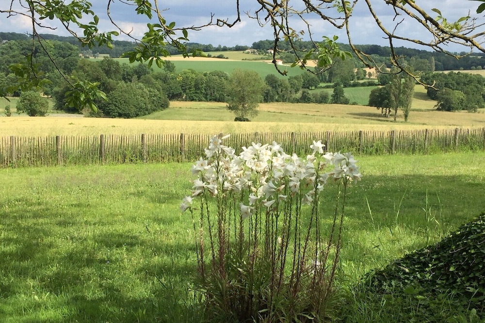 Looking for a cosy cottage in the peaceful Dordogne/Charente area? You found it.
