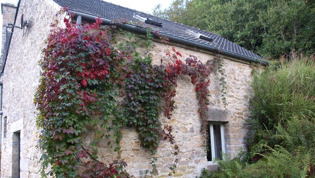 A stone building with ivy and ferns growing on its exterior walls. - LA GRANGE A CONVERTED BARN IN THE BEAUTIFUL HAMLET OF TALROCH (Melrand)