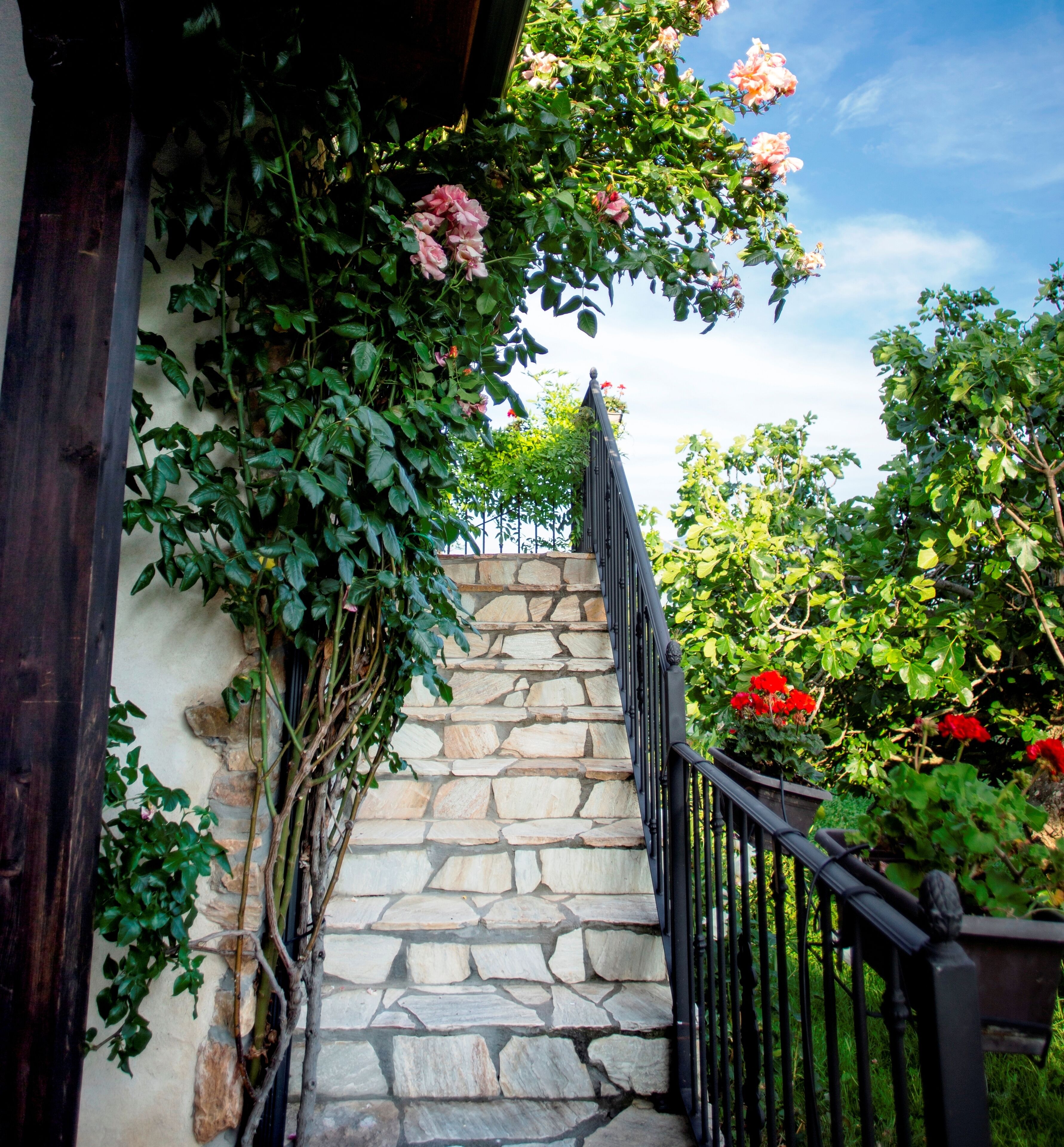 Àrea exterior de l'allotjament