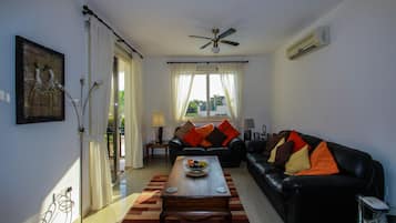 TV, DVD player, books, stereo