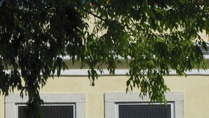 Um edifício com duas janelas, uma varanda com plantas e um portão de metal.