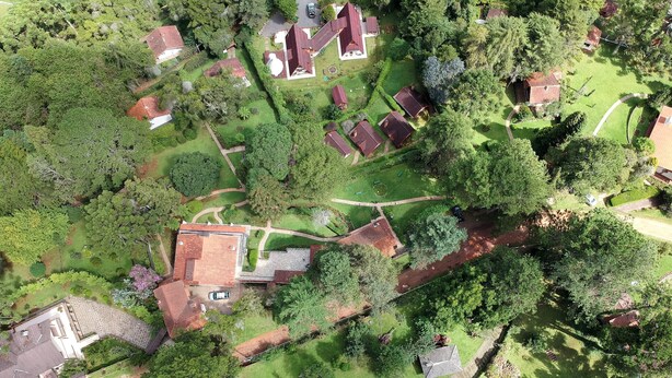 Luchtbeeld van een woonwijk met huizen, groene gazons en bomen.