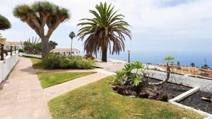 A landscaped garden with palm trees and a pathway leading to a building. - Cozy home in Tenerife with views & pool (Santa Cruz de Tenerife)