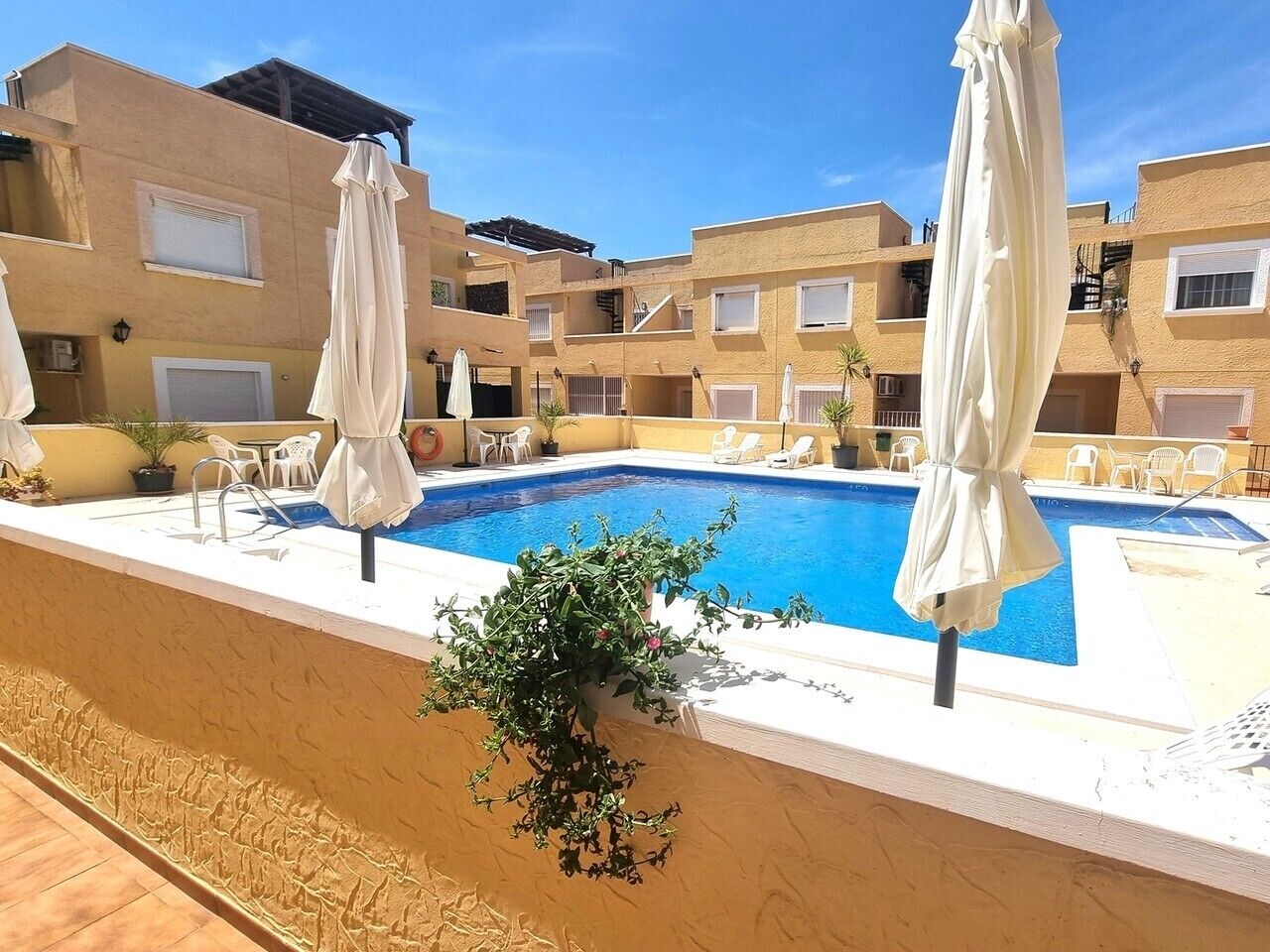 A swimming pool with white umbrellas, a small plant, and a building with multiple balconies.