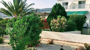 A garden with various plants and a building in the background.