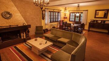 TV connectée, cheminée, lecteur de DVD, livres