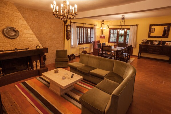 TV connectée, cheminée, lecteur de DVD, livres