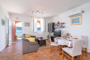 TV connectée, cheminée, lecteur de DVD, livres