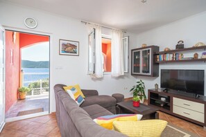 Smart-tv, eldstad, dvd-spelare och böcker