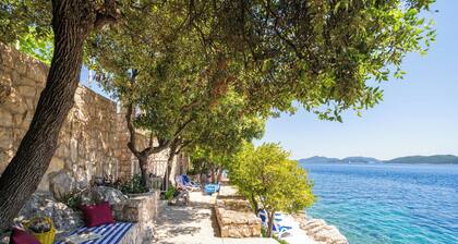 Villa Planika maison à louer Ratac - Slano, région de Dubrovnik