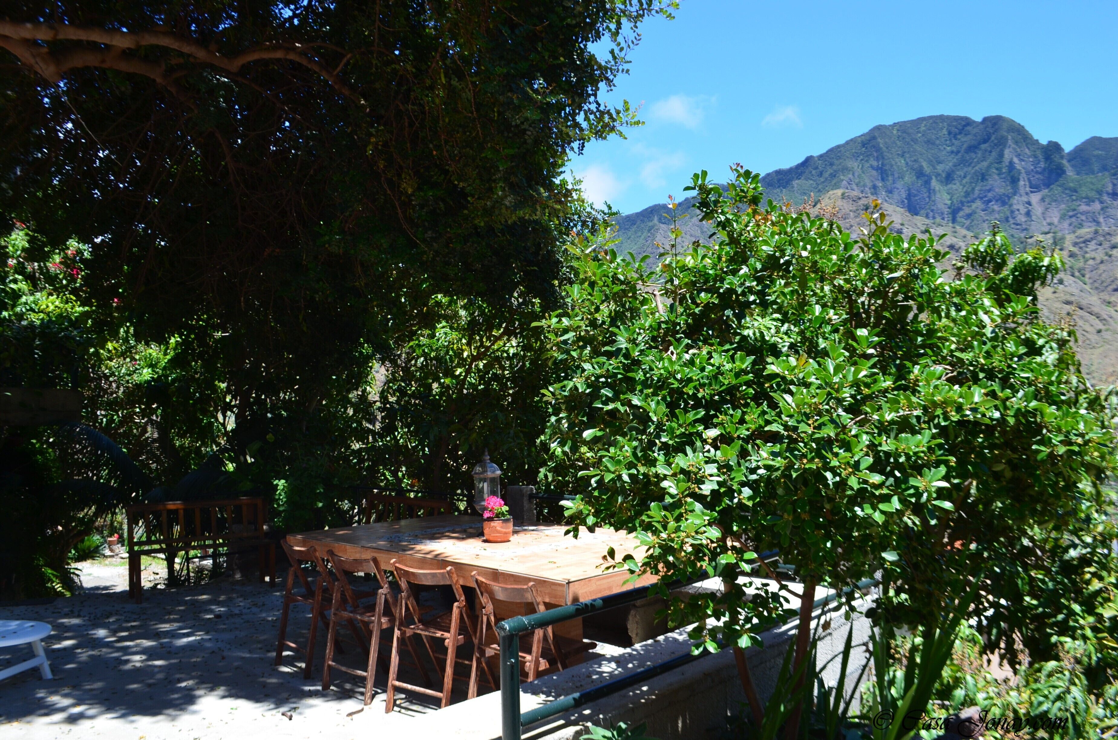 Un área de comedor al aire libre con mesa y sillas de madera, rodeada de exuberante vegetación y montañas al fondo.