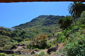 Et bjerglandskab med frodig vegetation og enkelte palmer.