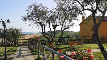 Parco della struttura