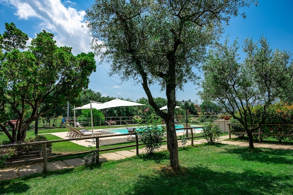 Alberca