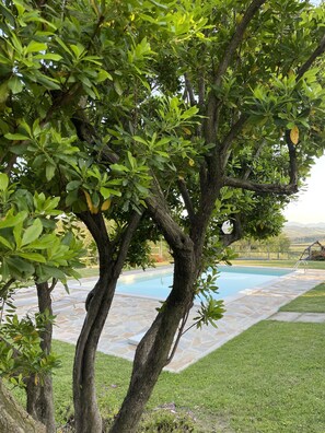 Alberca al aire libre 