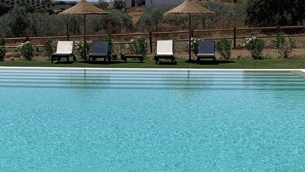 A clear blue swimming pool with lounge chairs and umbrellas.