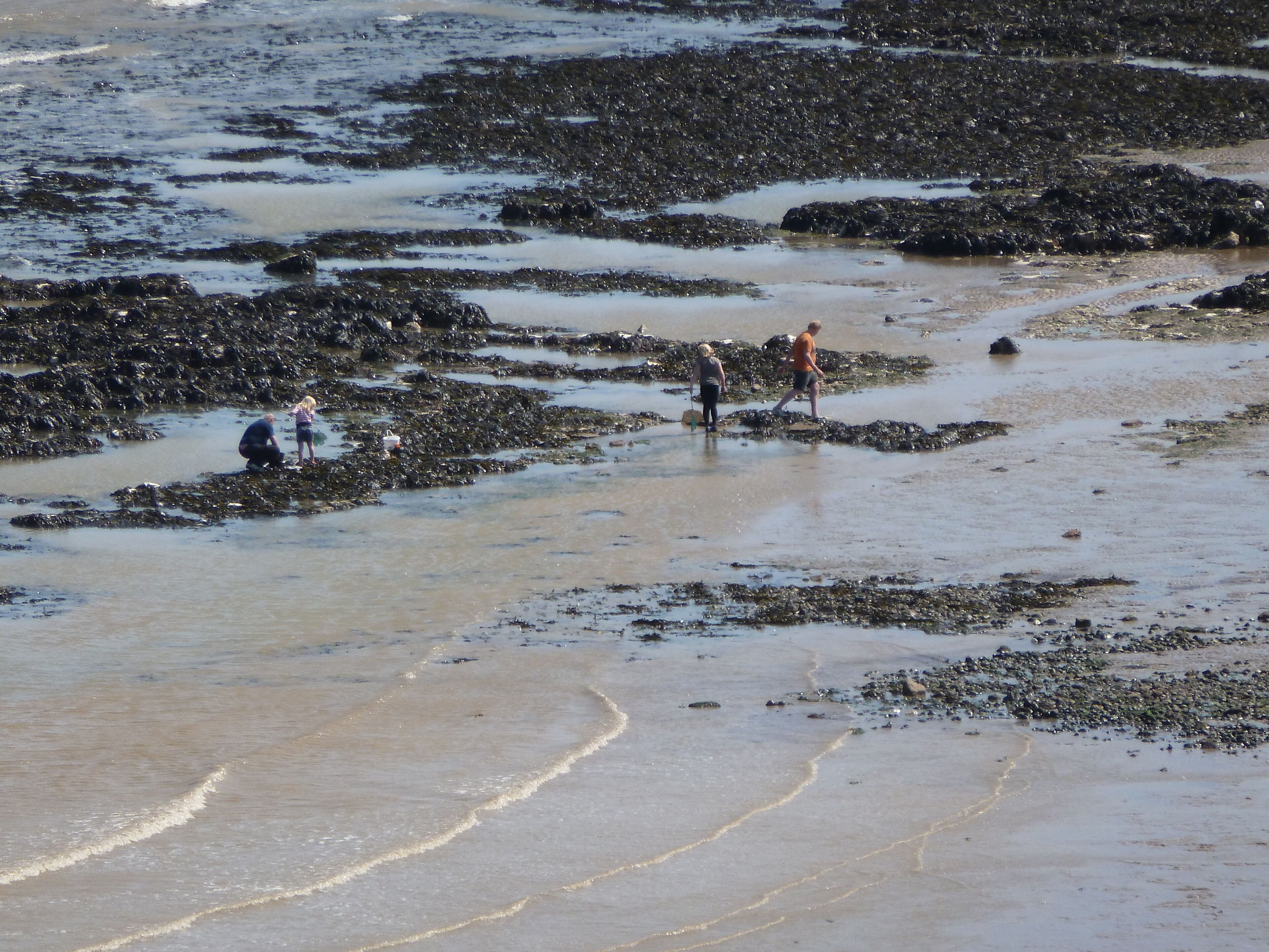 A beach with rocky terrain and people walking.
