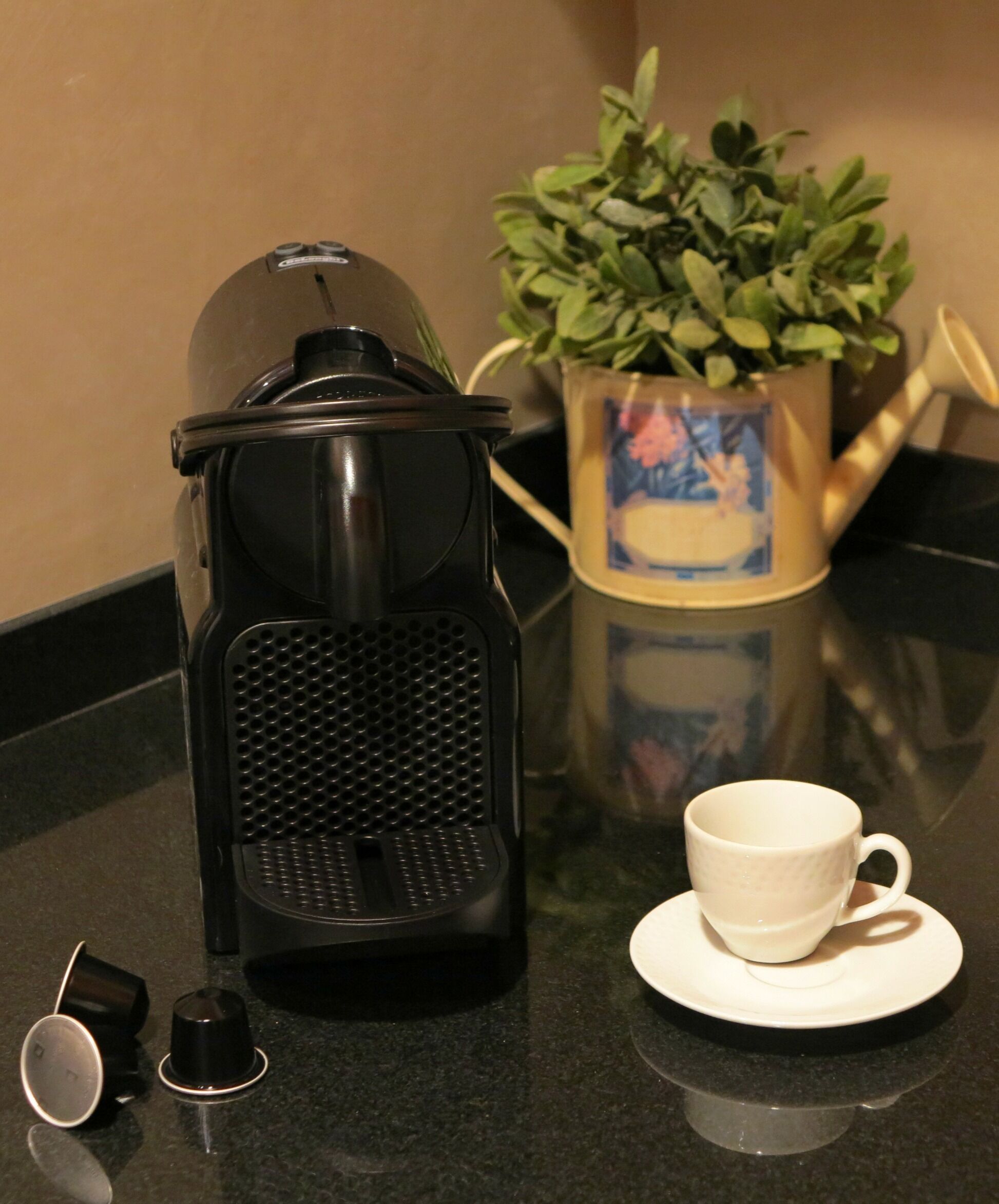 DESIGN APARTMENT IN OLOT, NATURAL PARK OF LOS VOLCANES DE LA GARROTXA