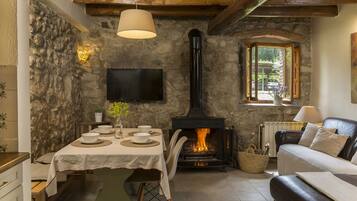 Een televisie, een open haard, een dvd-speler en boeken