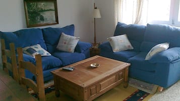 TV, DVD player, books, video library