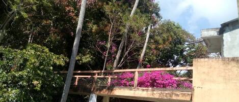 A concrete bridge with a metal railing, surrounded by lush greenery and pink flowers.