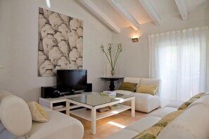 Smart TV, fireplace, DVD player, books