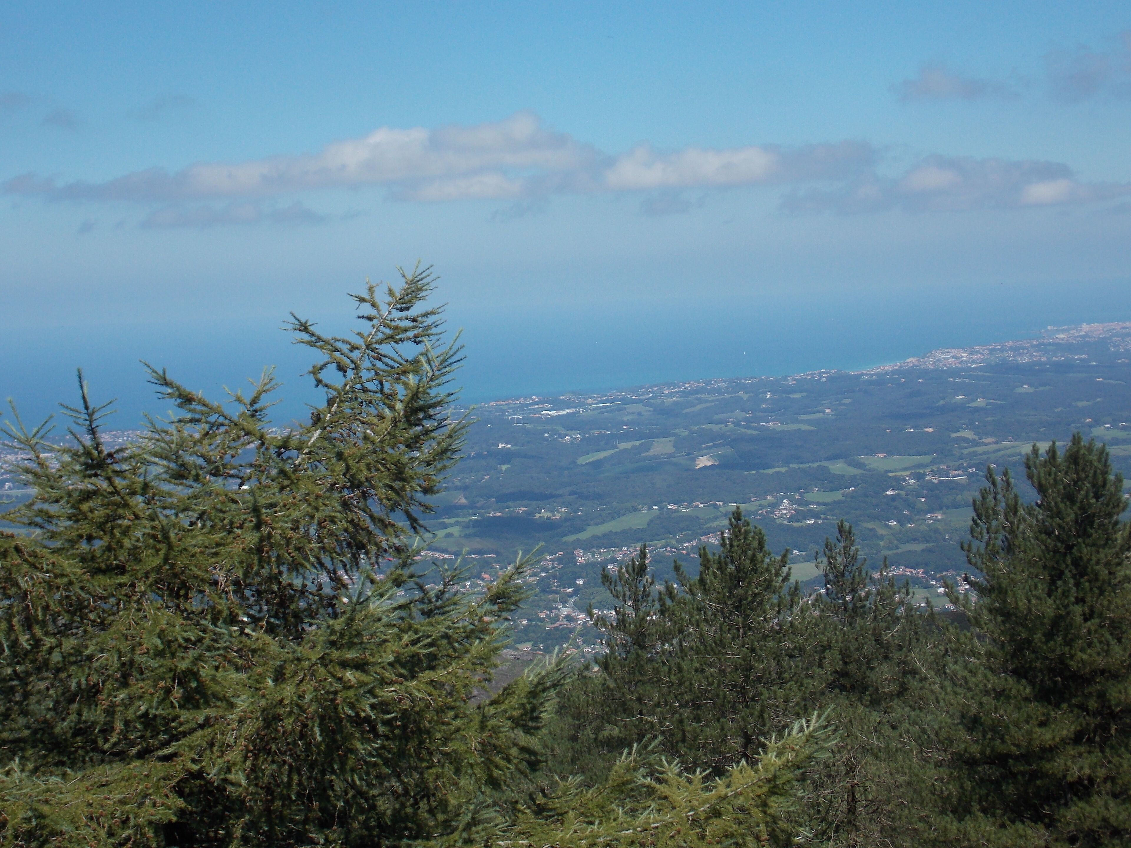 Eine Berglandschaft mit dichten Nadelbäumen im Vordergrund und einer Ansicht einer Stadt in der Ferne.