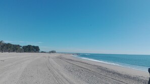 Playa en los alrededores 