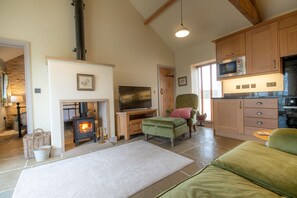 Smart TV, fireplace, ping pong, books