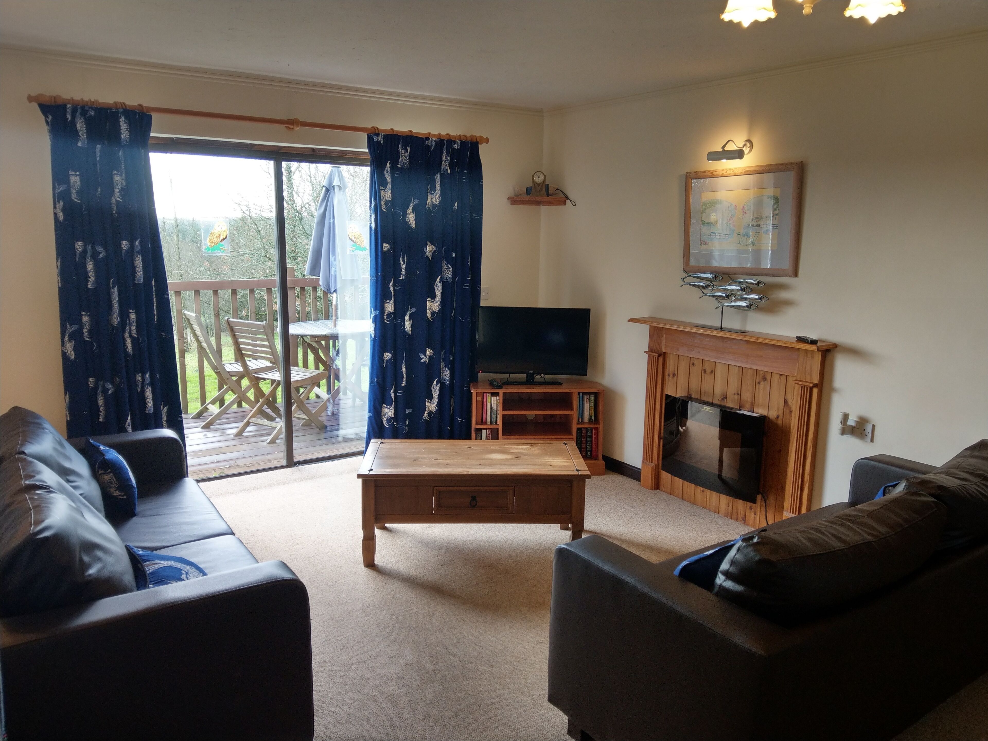Spacious two-bedroomed fully-accessible lodge with lake view in rural idyll