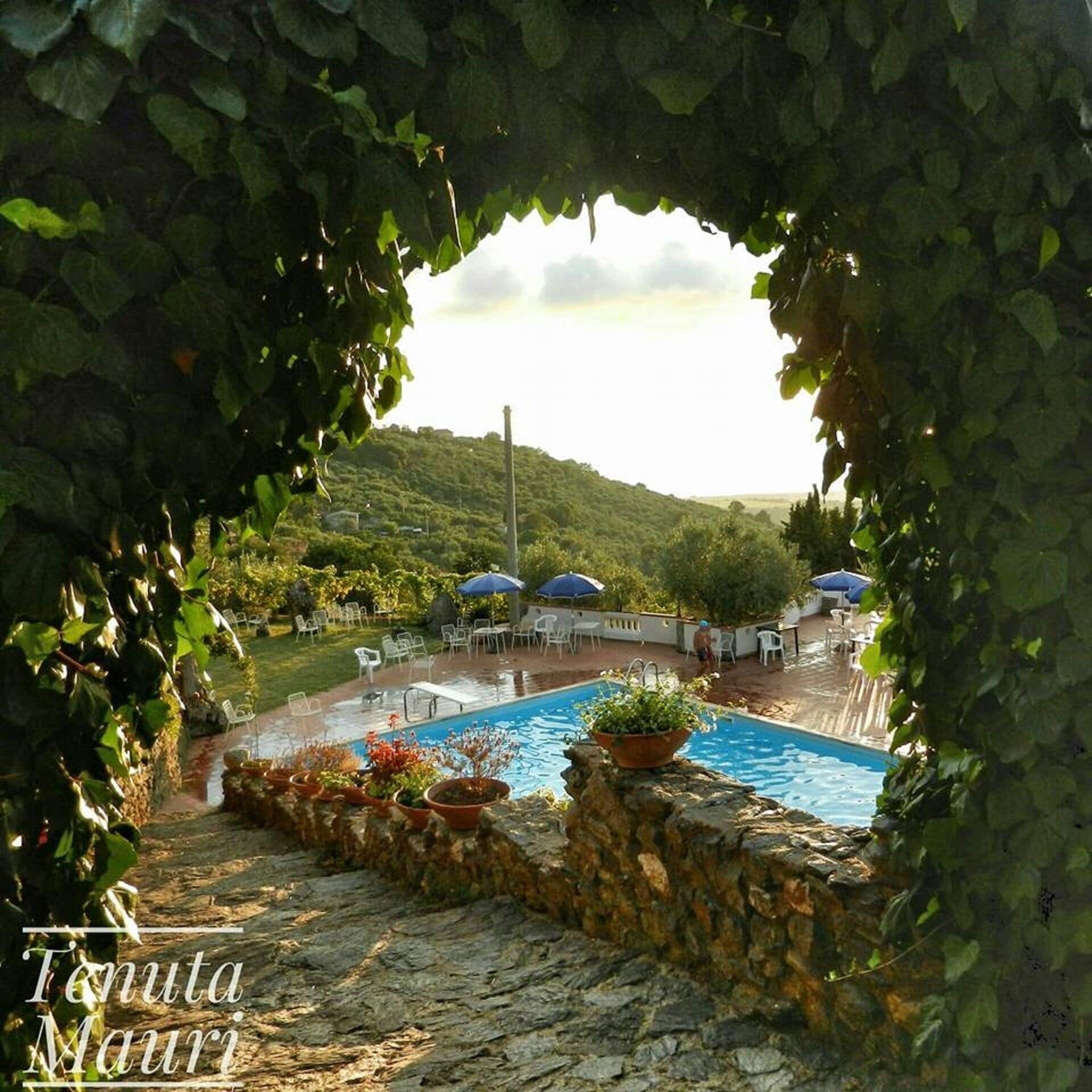 AGRITURISMO VOTA, RELAXATION OASIS, POOL, FAMILY HOLIDAY, CALABRIAN CUISINE