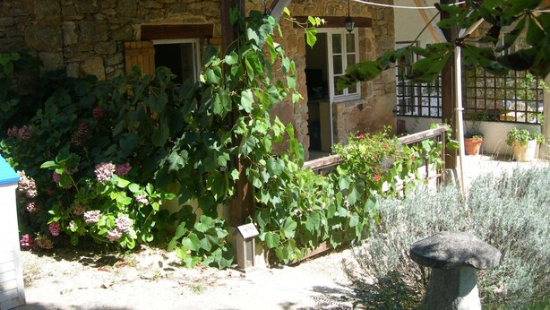 Une maison en pierre avec un jardin, un banc en bois et une plante en pot.