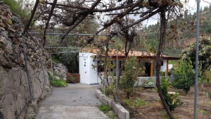 Un camino de piedra que lleva a un edificio rústico con techo de tejas, rodeado de follaje y una pérgola cubierta de hiedra.