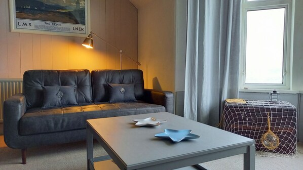 Smart TV, DVD player, books, video library