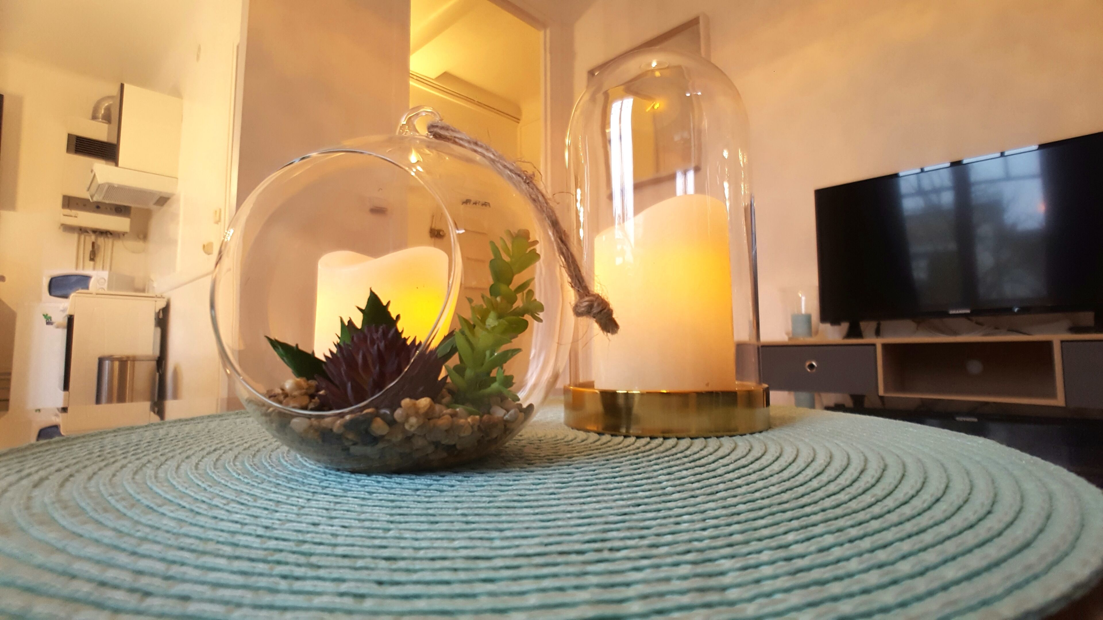 A clear glass terrarium with succulents on a textured blue rug, a lamp, and a TV in the background.