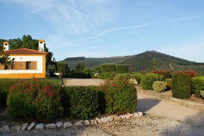 Property grounds - "Casa da Eira" - Rural tourism house with private pool, near Dornes. (DORNES)
