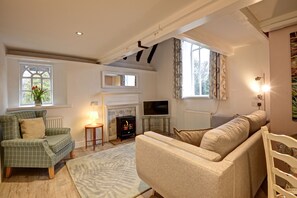 Una televisión, una chimenea, libros