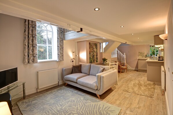 Una televisión, una chimenea, libros