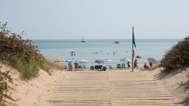 Ein hölzerner Steg führt zu einem Strand mit Sonnenschirmen und Liegestühlen.