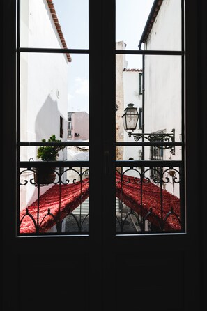 Une vue à travers une fenêtre ornée d’une rambarde en métal, avec une plante en pot et un tapis rouge.